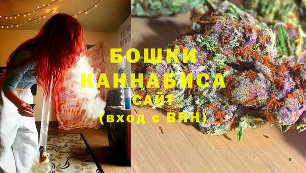 a pvp Инта